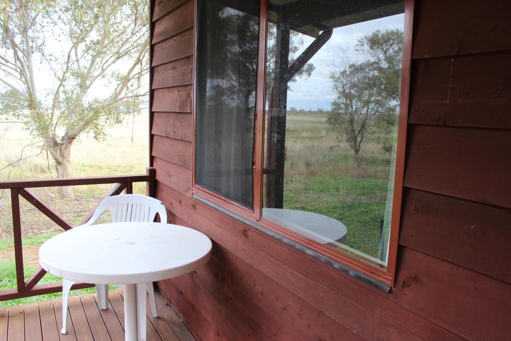 Aussie Cabins Hotel Dubbo Habitación foto